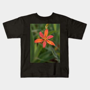 Blackberry Lily Red Orange Yellow Flower with Raindrops Kids T-Shirt